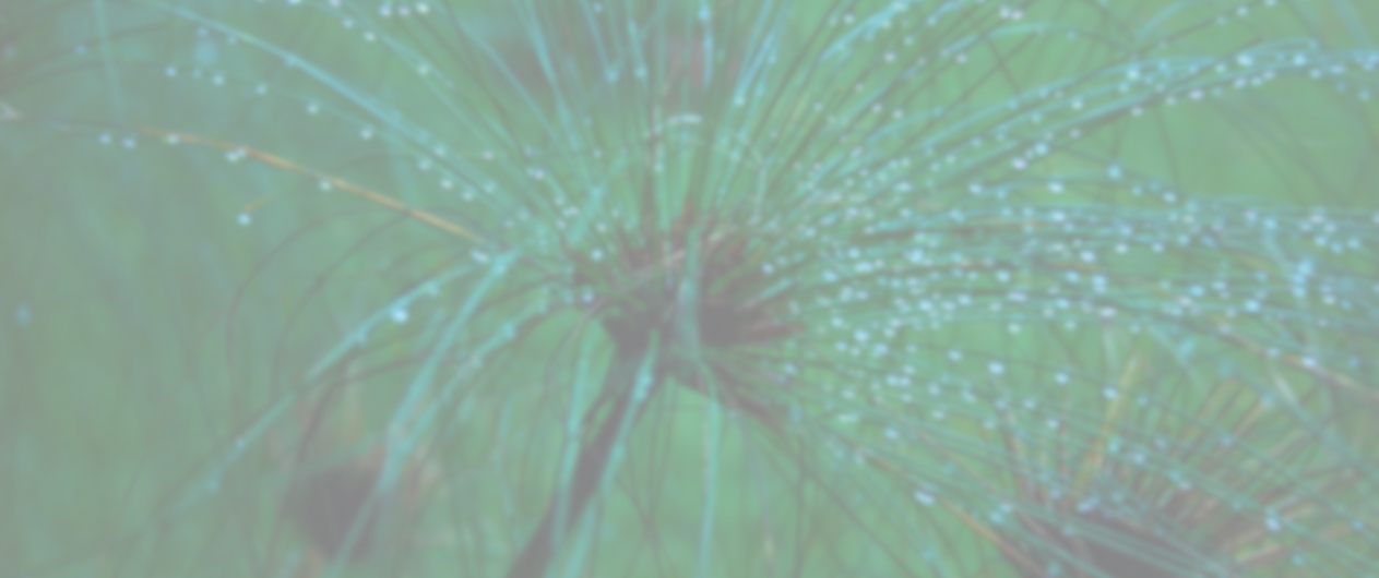 BSc 2nd Year Botany - Full Course with Free Notes